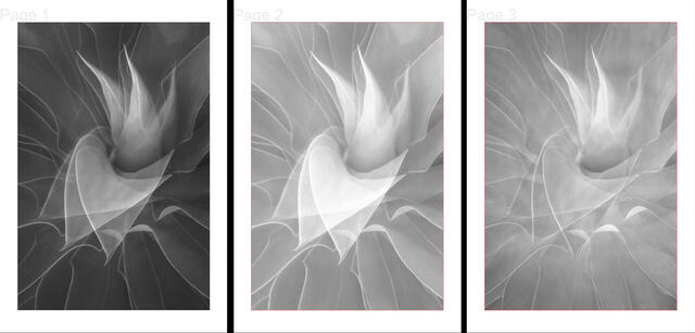 ImagePrint channel separation software for Screen printing
