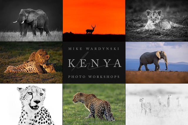 Kenya Photo Safari & Tour
