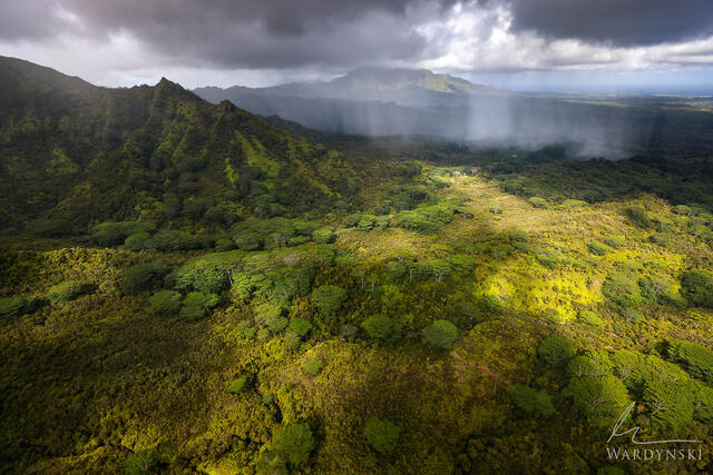 Kauai photography tour with doors off helicopter flight