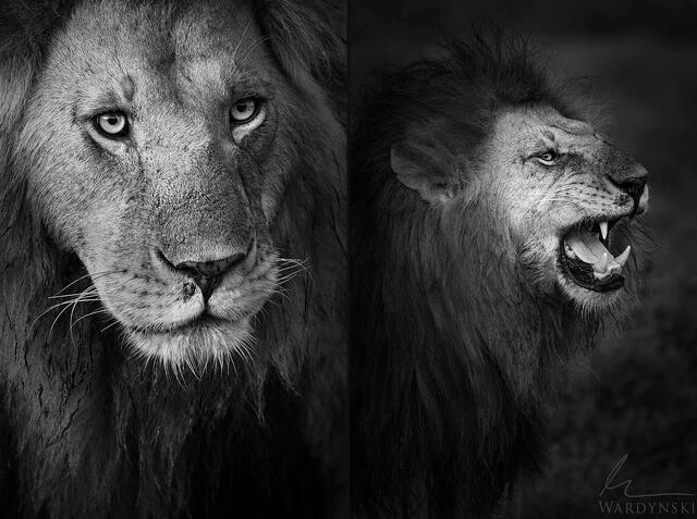 Kenya Photography Workshop
