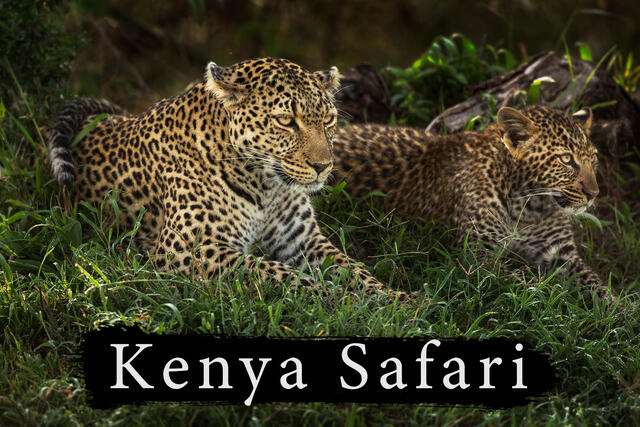 Kenya Photography Workshop & Photo Safari 