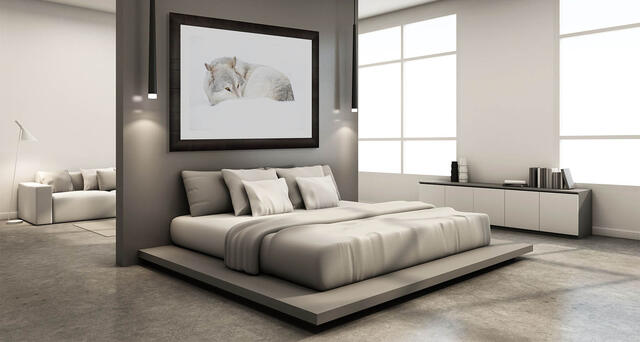 Large Scale photograph of a grey wolf with minimal background. Framed in 4" Roma Tabacchino Dark Ash with 3" linen liner.