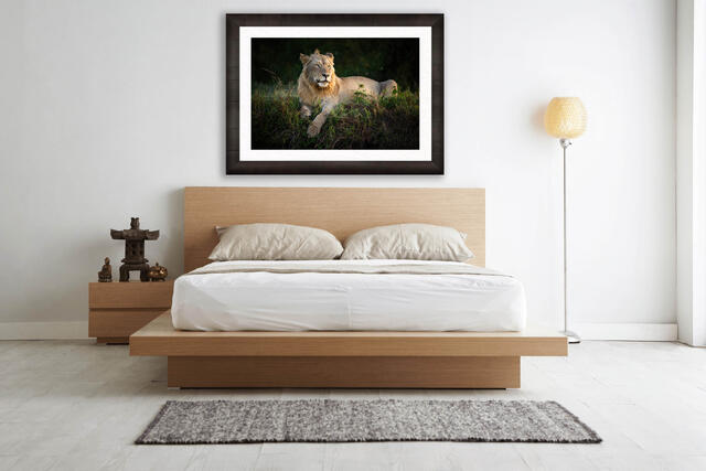 Luxury wildlife fine art photography from Kenya for modern homes
