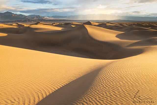 Mesquite Dunes After Sunrise In Death Valley