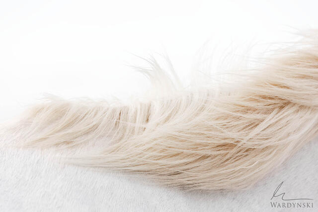 Fine art print of horse photography of horses mane.