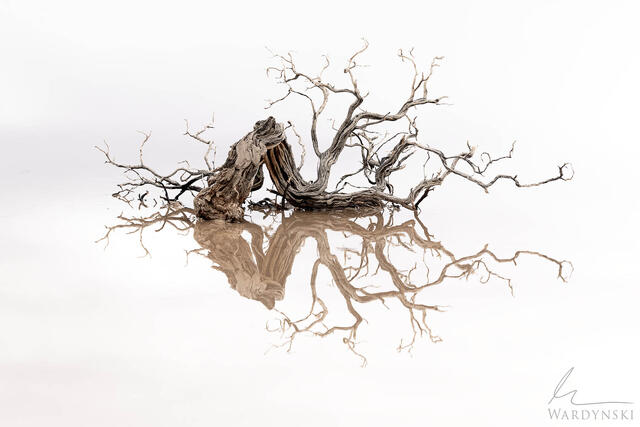Minimal landscape photography in Death Valley National Park