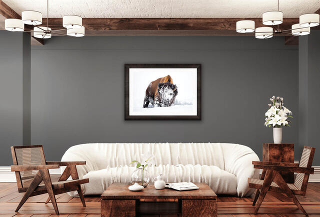Minimal wildlife photography for luxury homes