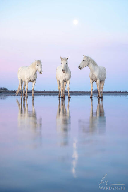 Walking on Water