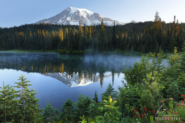 Mount Rainer Photography Tour in Washington
