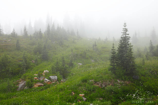 Mount Rainer Photography lessons