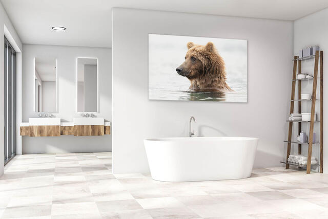 Museum Quality wildlife photograph of a grizzly bear in modern interior with floating hanger.
