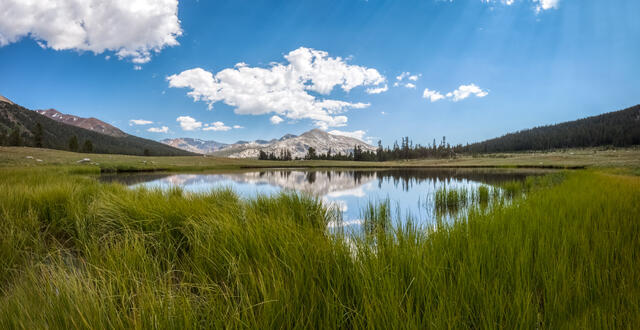 Yosemite High Country pano