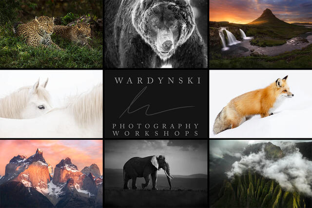 Photography workshops by Wardynski Photo llc
