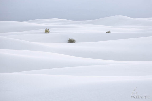 Sea of Sand