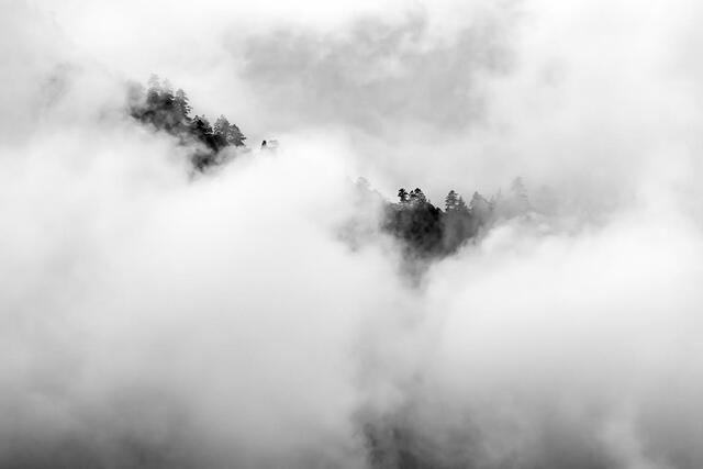 Smoky Mountains Photography Workshop