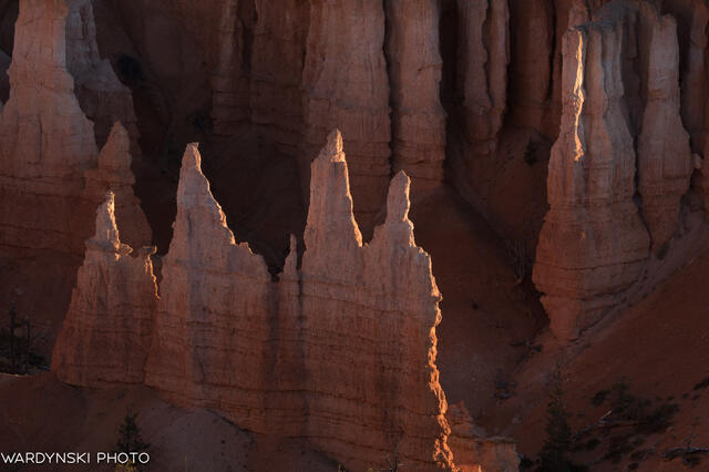 Southwest-10.jpg