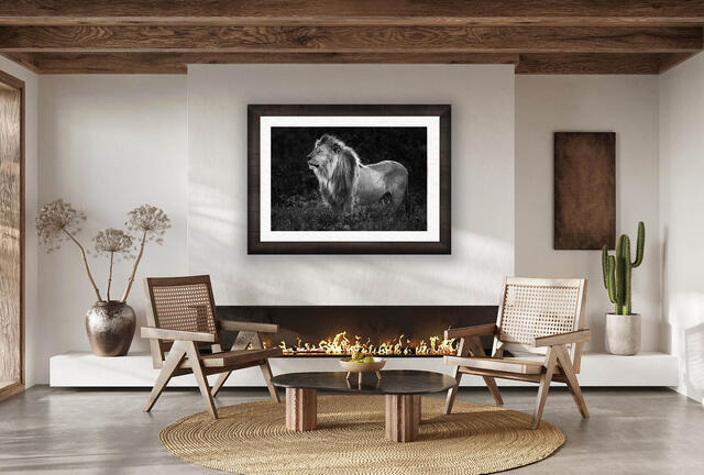Fine art black and white photograph of a male lion in Keanya, Africa.