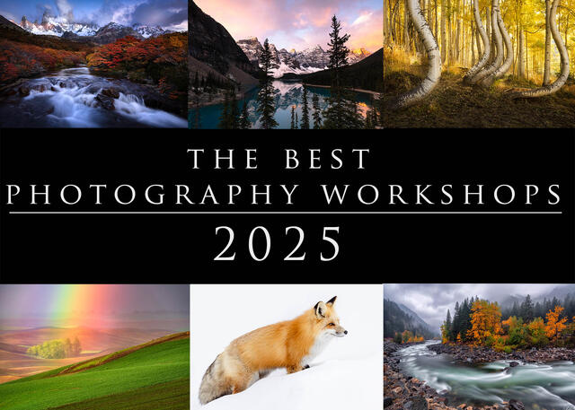 The best photography workshops in 2025