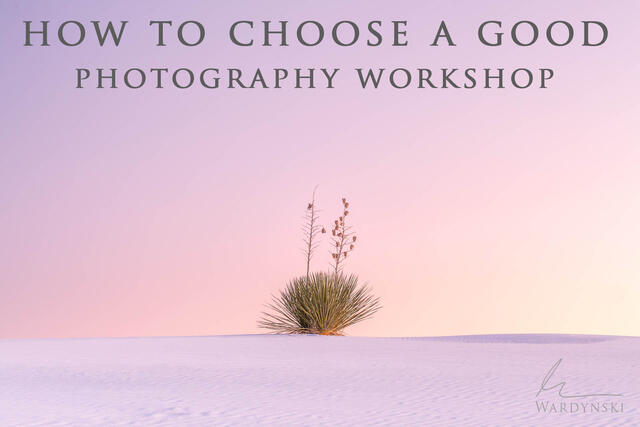 How to choose a good photography workshop