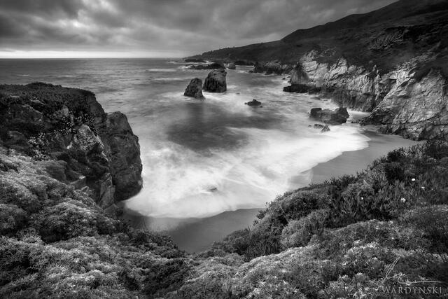 The Cove B&W