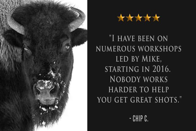 The Best Winter Yellowstone Photography Workshop 5 star review