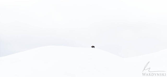 Vast Expanse