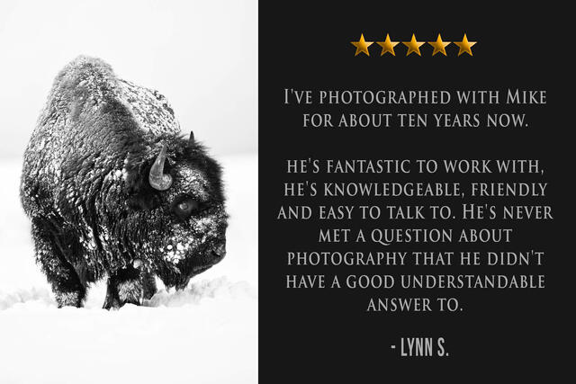 Winter Lamar Valley Photography workshop 5 star review