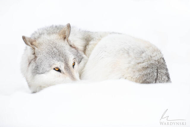how to photograph in freezing weather