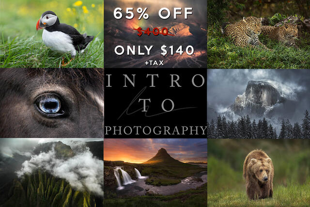 intro to photography course 65 percent off photo class 
