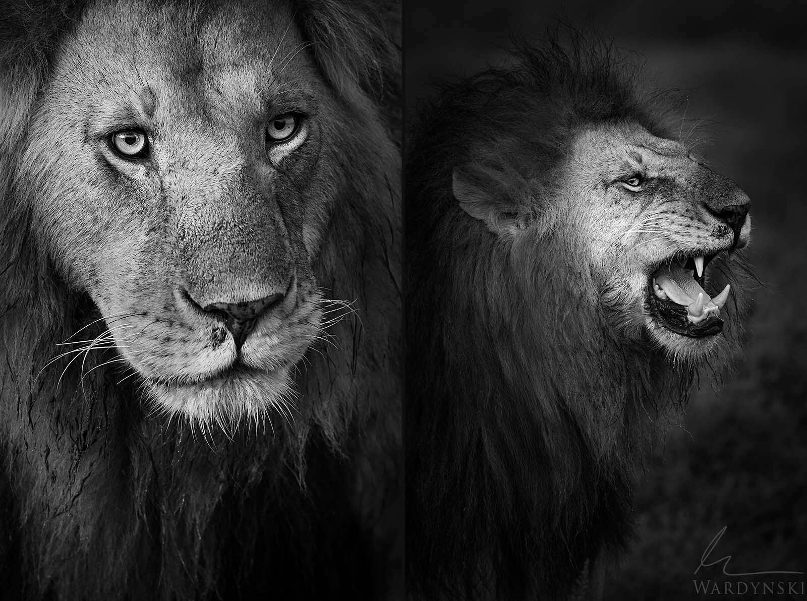 Kenya Photography Workshop