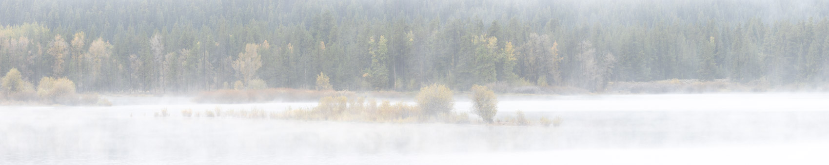 Misty Morning Grand Teton, national park* grand teton